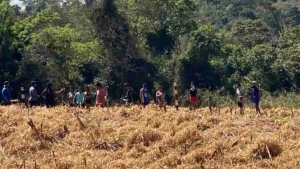Cerca de 30 indígenas ocupam área de fazenda em Terra Roxa