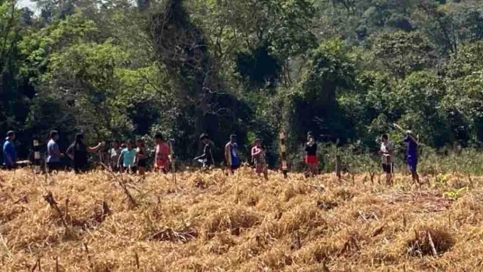 Cerca de 30 indígenas ocupam área de fazenda em Terra Roxa
