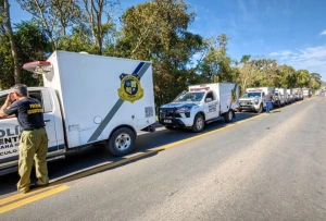 Fila de viaturas do IML impressiona em acidente no Paraná