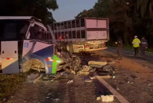 Mulher que viajou em ônibus da Saúde um dia antes da tragédia faz desabafo