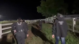 Grupo criminoso que furtou mais de 2 mil cabeças de gado no Paraná desde 2019 é alvo de operação
