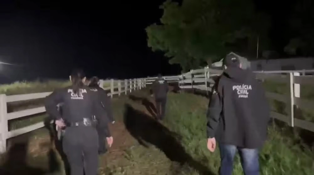 Grupo criminoso que furtou mais de 2 mil cabeças de gado no Paraná desde 2019 é alvo de operação