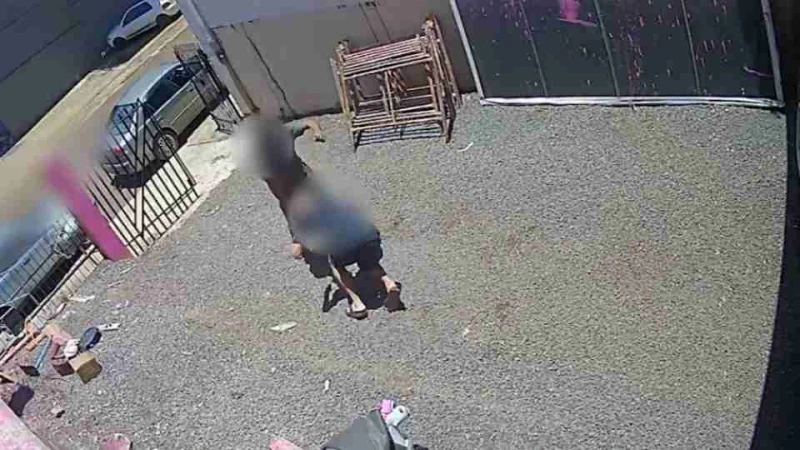 Suspeito de matar ex-genro após discussão se apresenta à polícia no Paraná