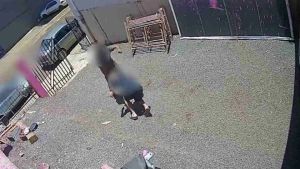 Suspeito de matar ex-genro após discussão se apresenta à polícia no Paraná