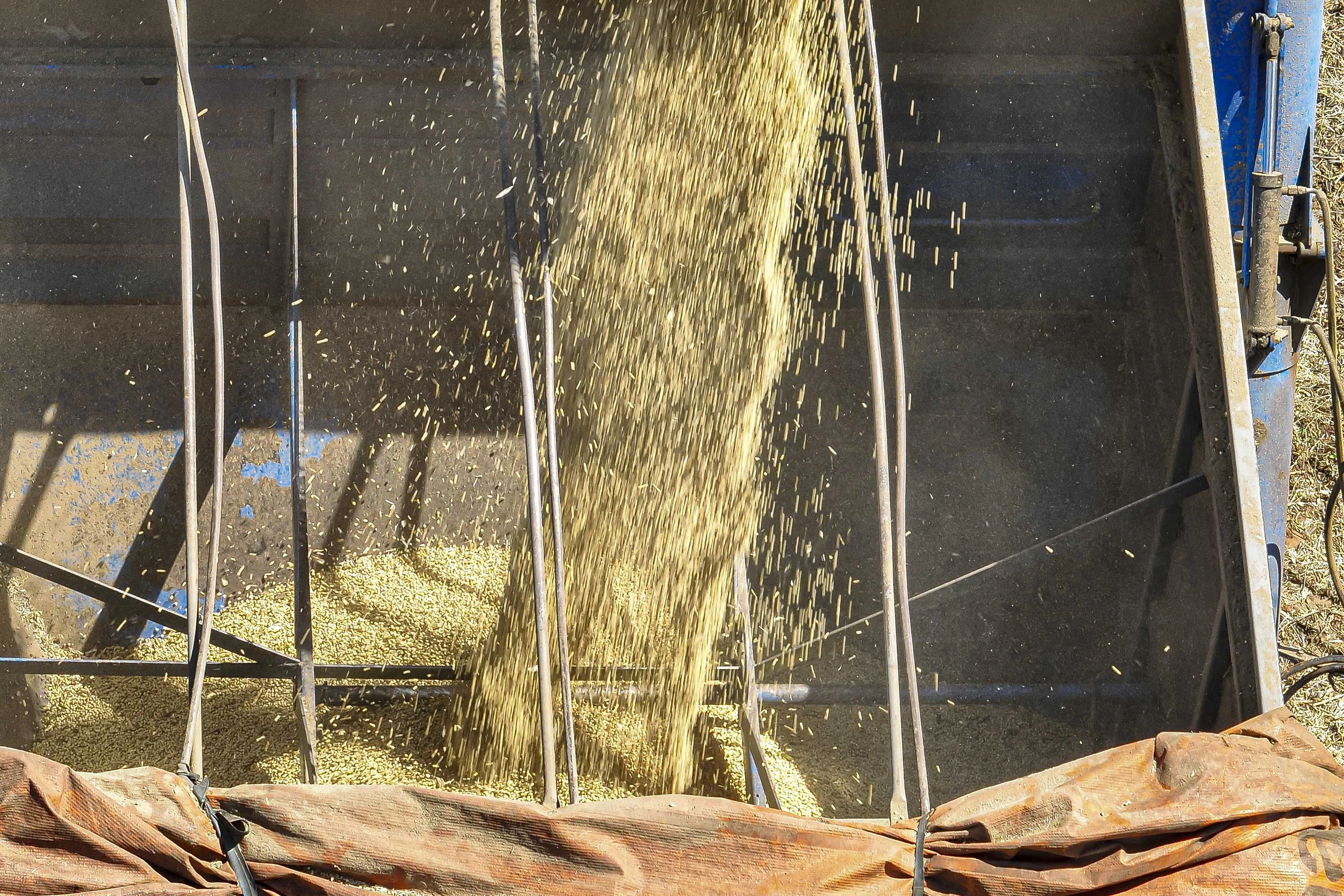 Produção agrícola brasileira superou R$ 927 bilhões em 2025