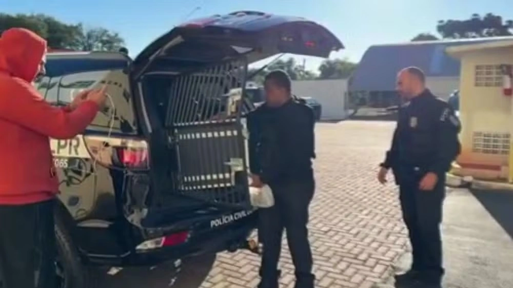 ‘Piratas do asfalto’: casal é preso suspeito de integrar quadrilha que rouba cargas em rodovias do Paraná
