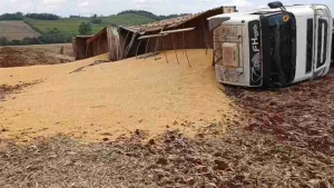 Carreta carregada com 35 toneladas de milho tomba em estrada rural de Toledo