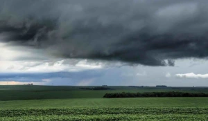 Agronegócio do Paraná admite "cenário não favorável" com Super El Niño