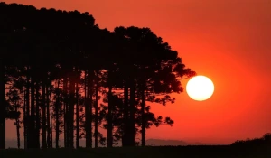 Paraná entra em alerta vermelho para onda de calor no fim de semana