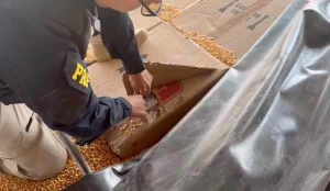 PRF apreende 139 mil maços de cigarros e 53 quilos de maconha em Marechal Cândido Rondon