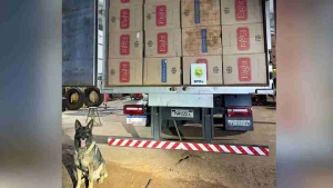 Caminhão com 40 mil pacotes de cigarros contrabandeados é apreendido em Assis Chateaubriand
