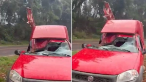Trânsito - Passageiro de carro sobrevive após árvore cair em cima do banco dele durante tempestade no Paraná