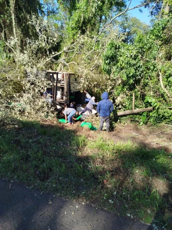 BR 277 - Carga de frangos é saqueada após tombamento de caminhão em Nova Laranjeiras