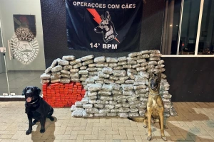 Segurança - Apreensões de maconha crescem 228% em dez anos na região de fronteira do Paraná