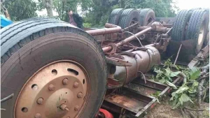 Trânsito - Passageiro morre preso debaixo de caminhão carregado de canola após tombamento na PR-487