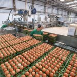 Brasil amplia exportações agrícolas para cinco países