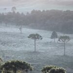 Geada e baixas temperaturas formam ‘dia de inverno’ em pleno verão na Serra de SC