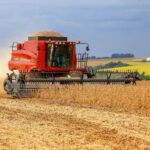 Colheita de soja atinge 14% e safras de feijão e cana-de-açúcar têm boa produtividade