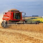 Valores da soja seguem enfraquecidos